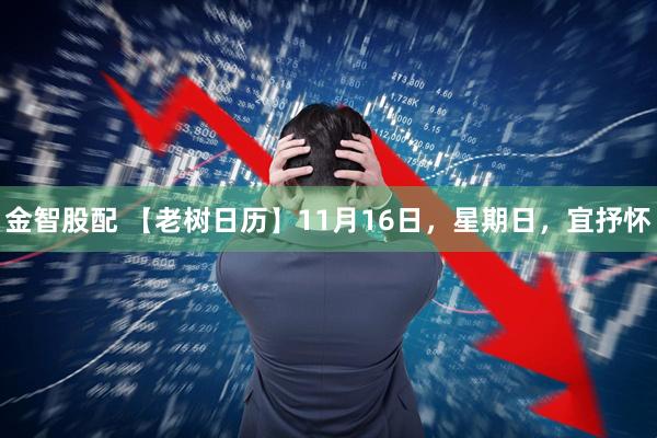 金智股配 【老树日历】11月16日，星期日，宜抒怀