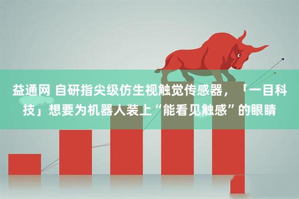 益通网 自研指尖级仿生视触觉传感器，「一目科技」想要为机器人装上“能看见触感”的眼睛